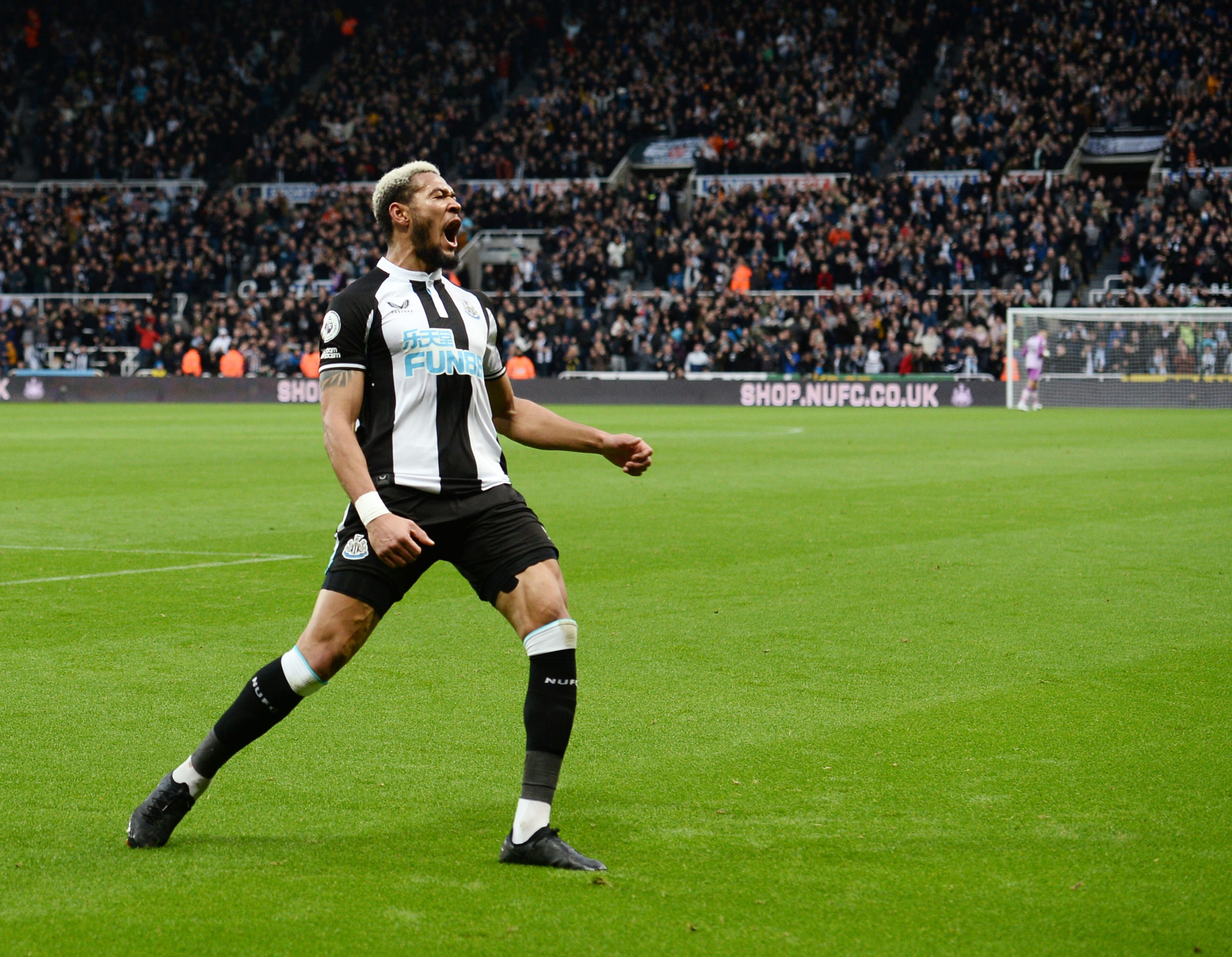 Photo by Serena Taylor/Newcastle United via Getty Images