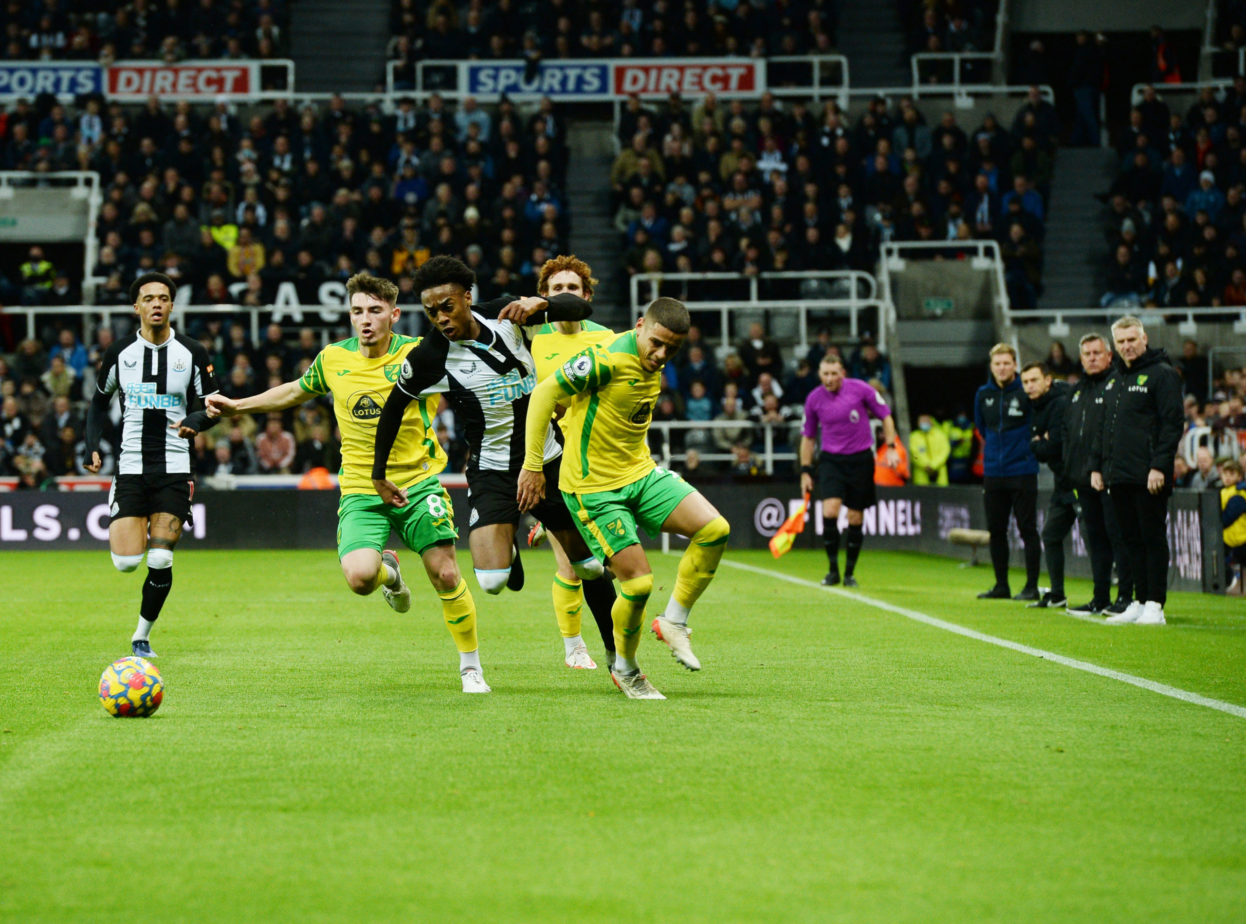 Photo by Serena Taylor/Newcastle United via Getty Images