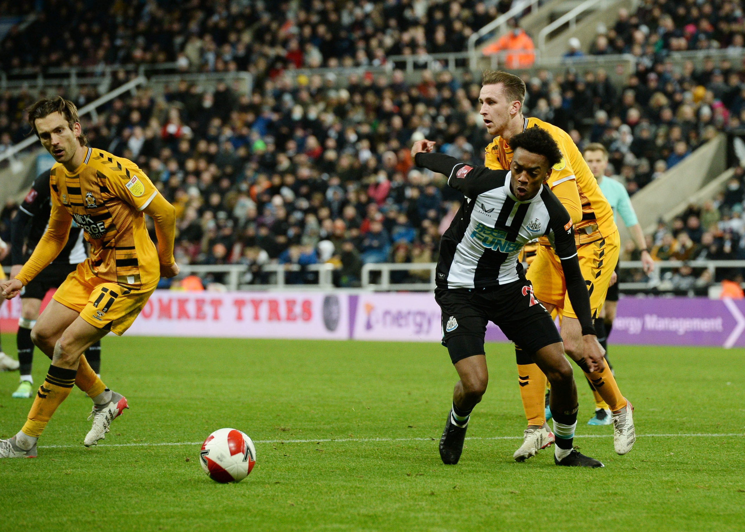 Photo by Serena Taylor/Newcastle United via Getty Images