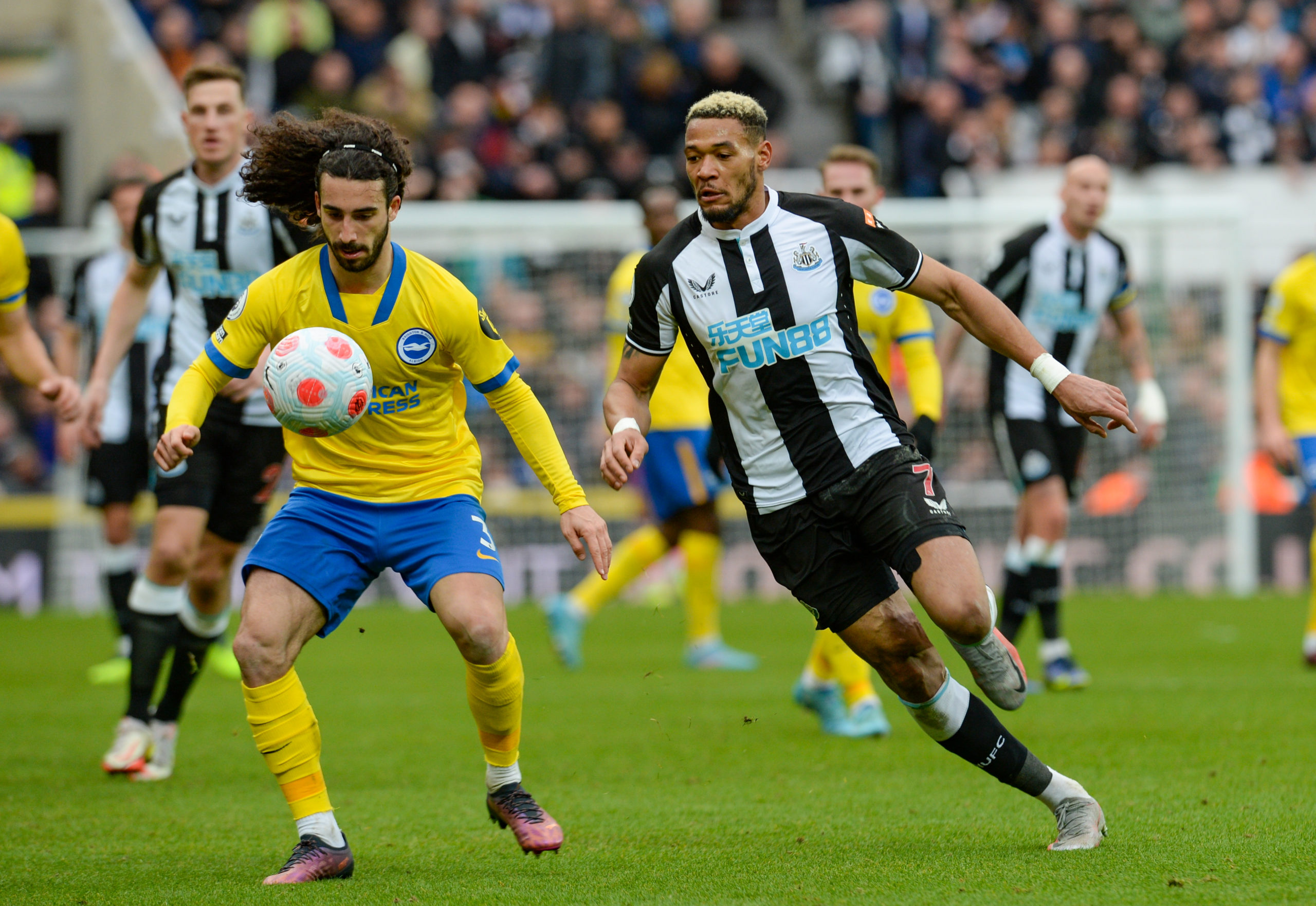 Photo by Serena Taylor/Newcastle United via Getty Images