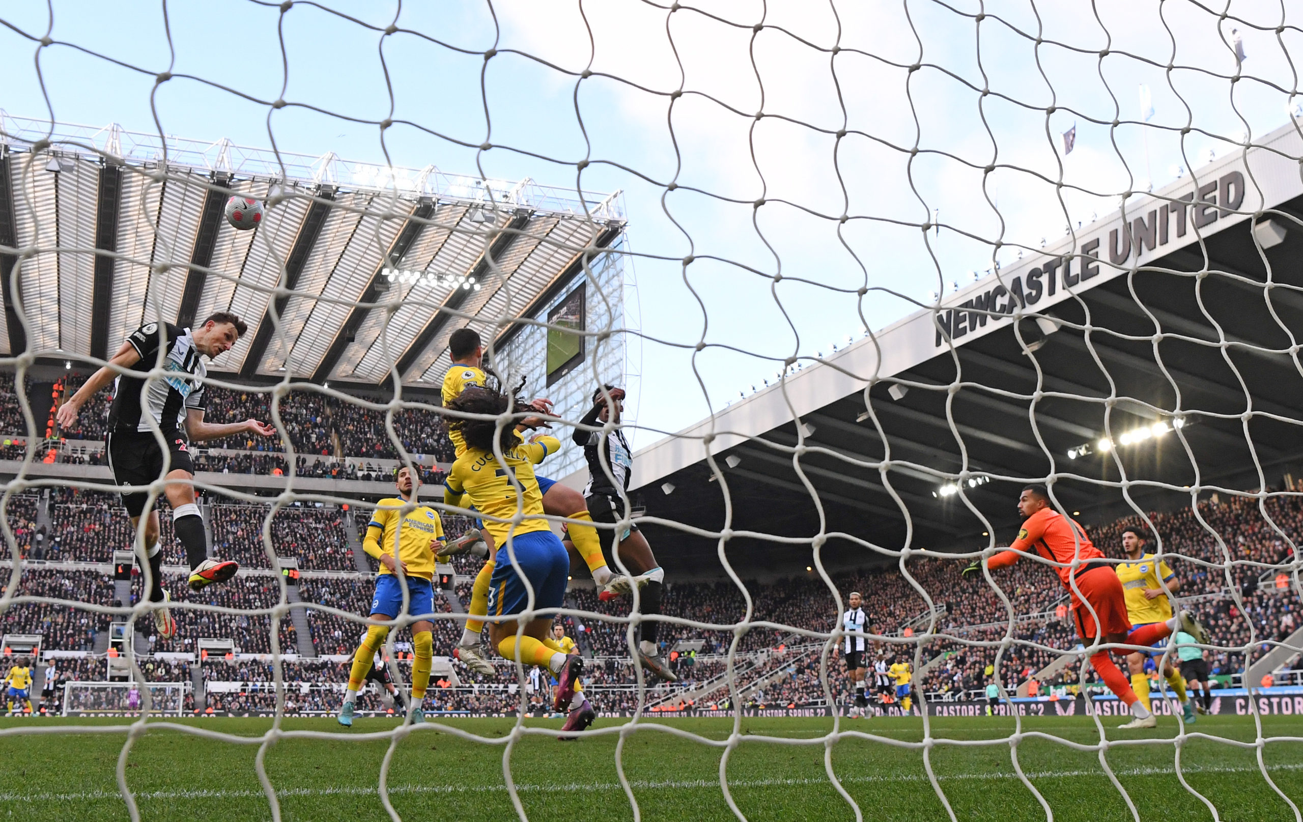 Photo by Stu Forster/Getty Images