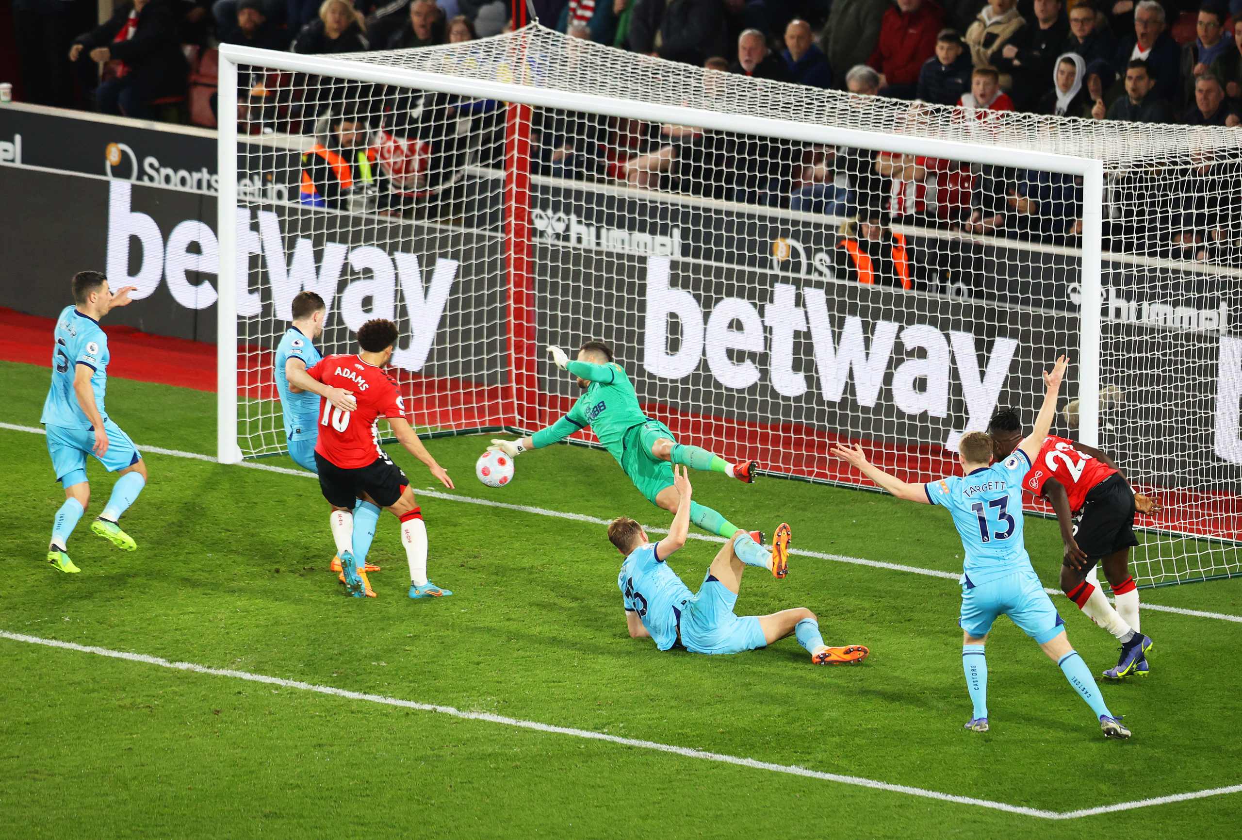 Photo by James Chance - Southampton FC/Southampton FC via Getty Images