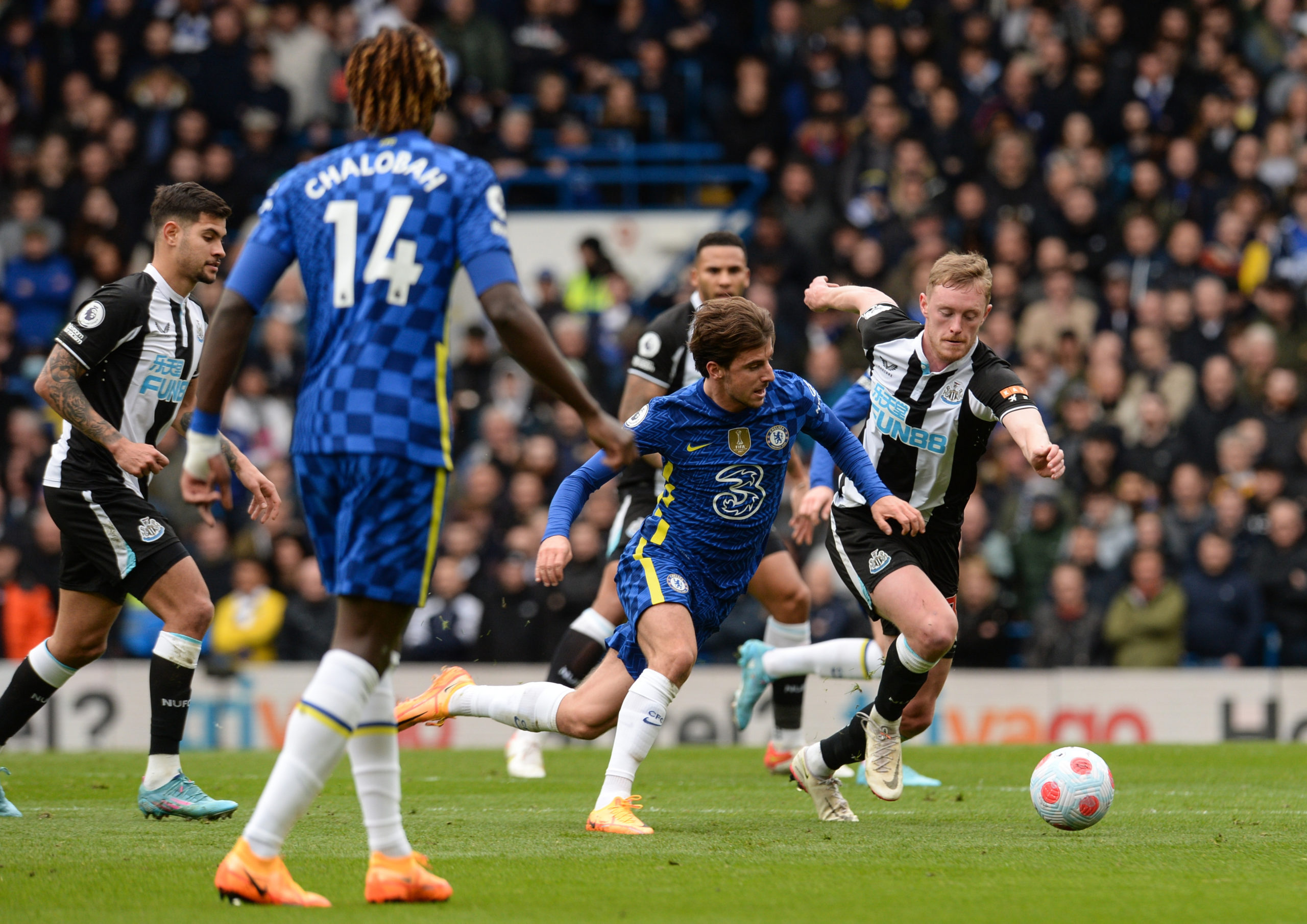 Photo by Serena Taylor/Newcastle United via Getty Images