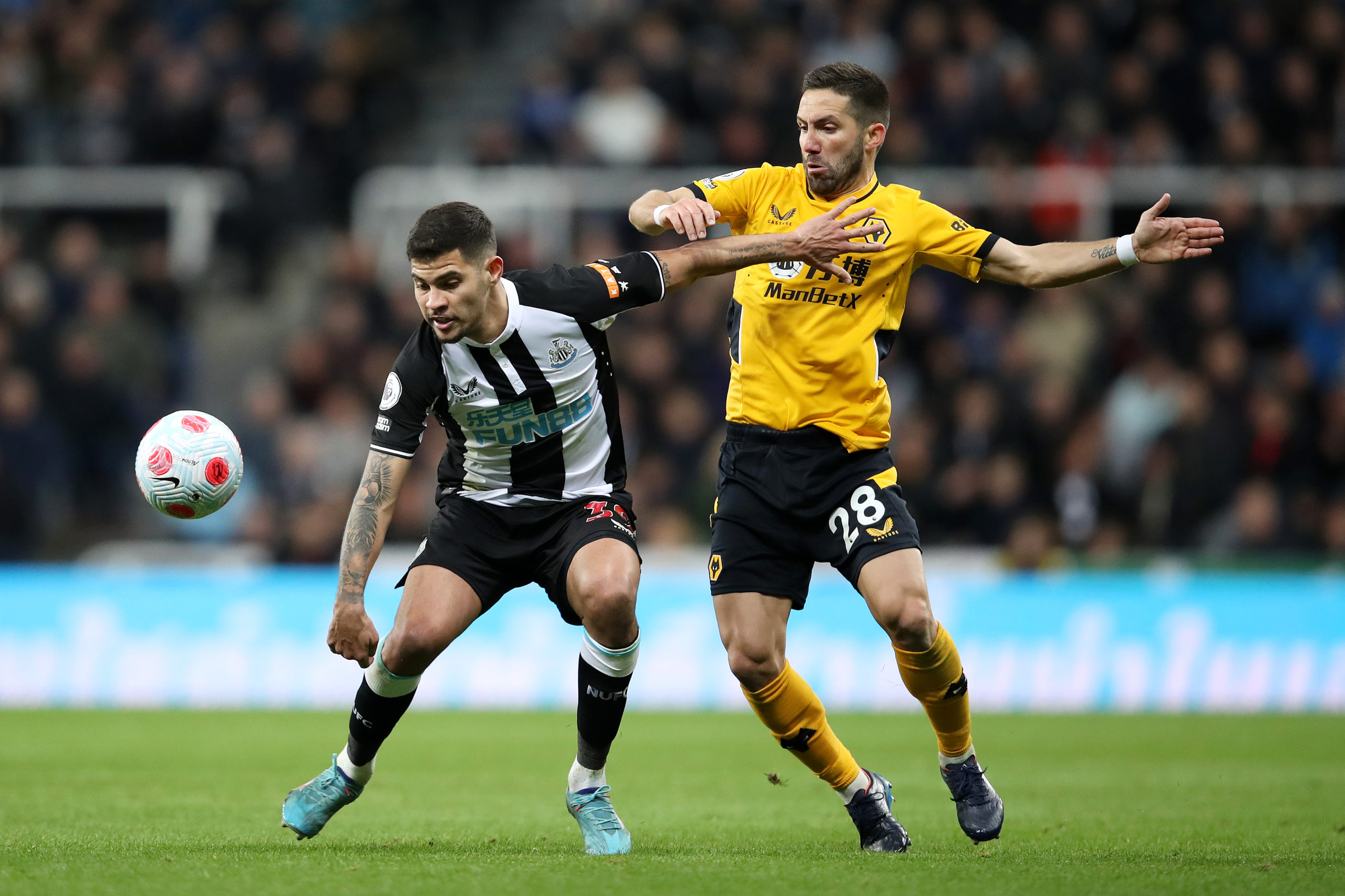 Photo by Jack Thomas - WWFC/Wolves via Getty Images