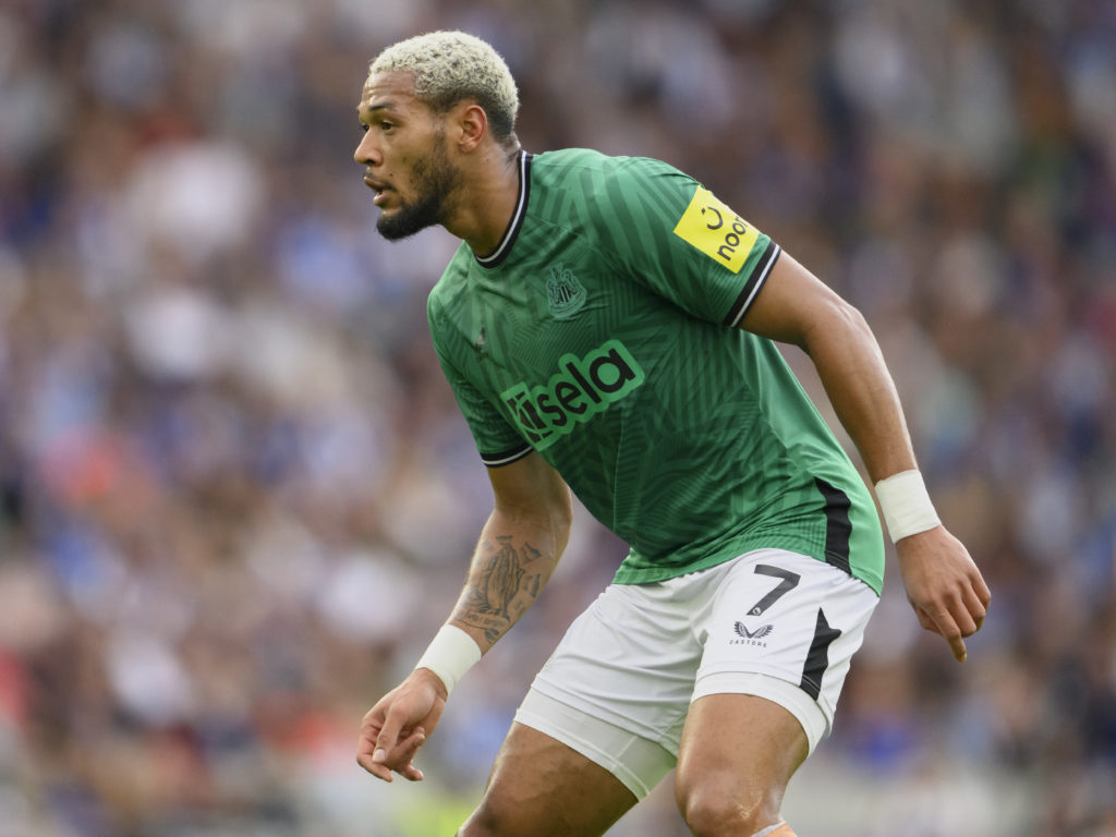 Brighton & Hove Albion v Newcastle United - Premier League
