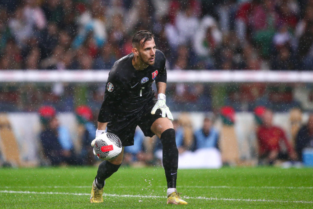 Portugal v Slovakia: Group J - UEFA EURO 2024 European Qualifiers