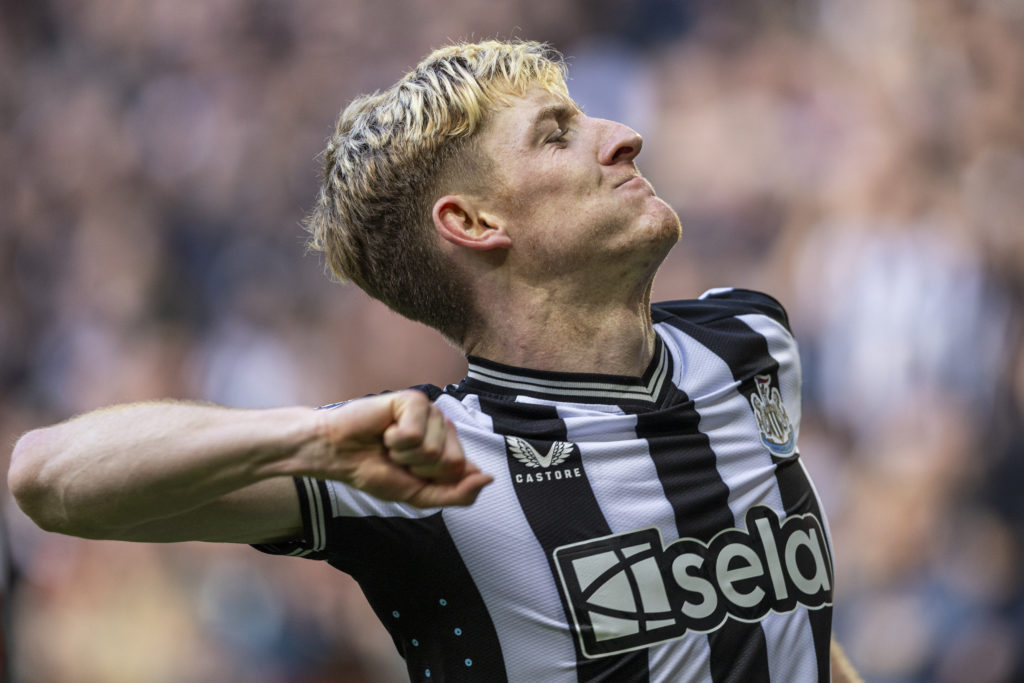 Newcastle United v Crystal Palace - Premier League