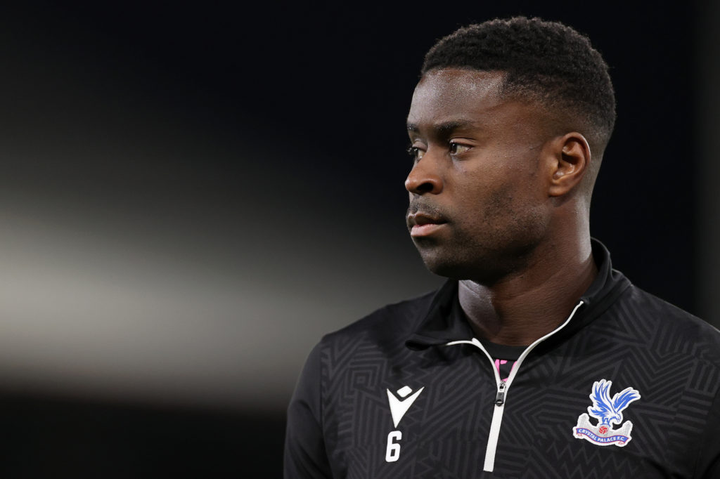 Crystal Palace v Tottenham Hotspur - Premier League