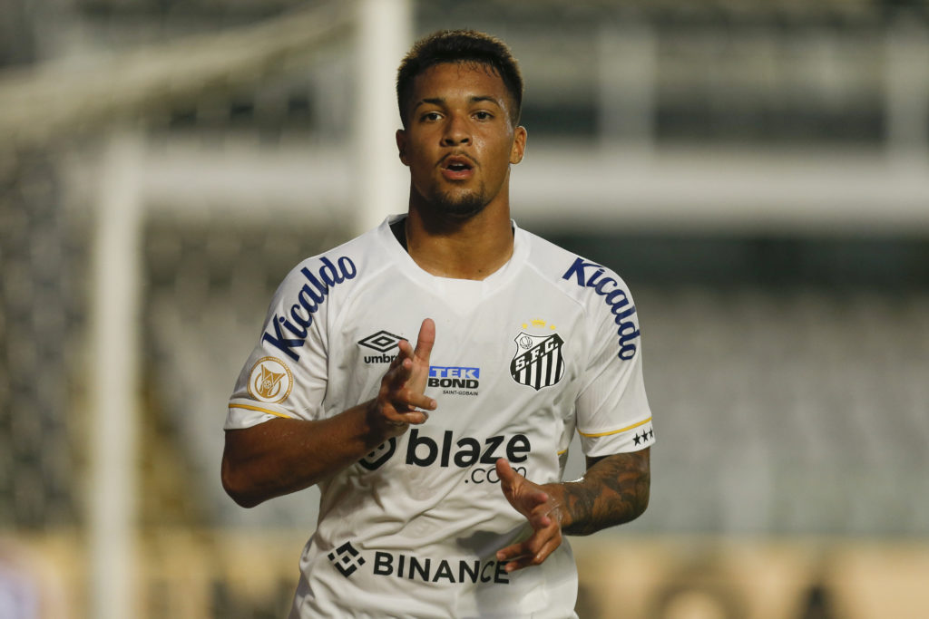 Santos v Botafogo - Brasileirao 2023