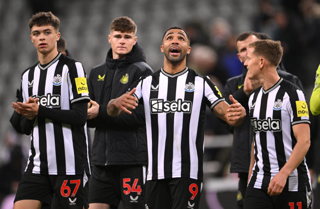 Newcastle United v Fulham FC - Premier League
