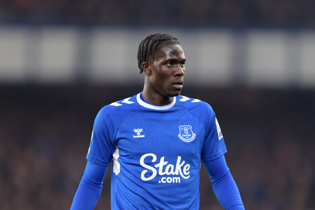 Everton FC v Newcastle United - Premier League