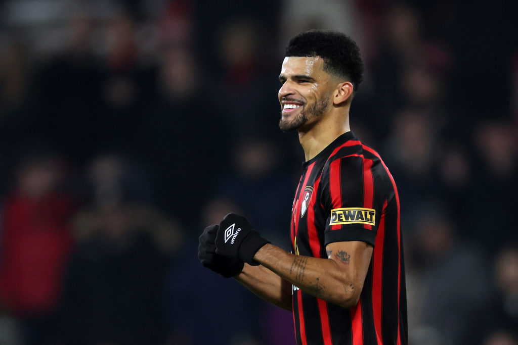 AFC Bournemouth v Newcastle United - Premier League