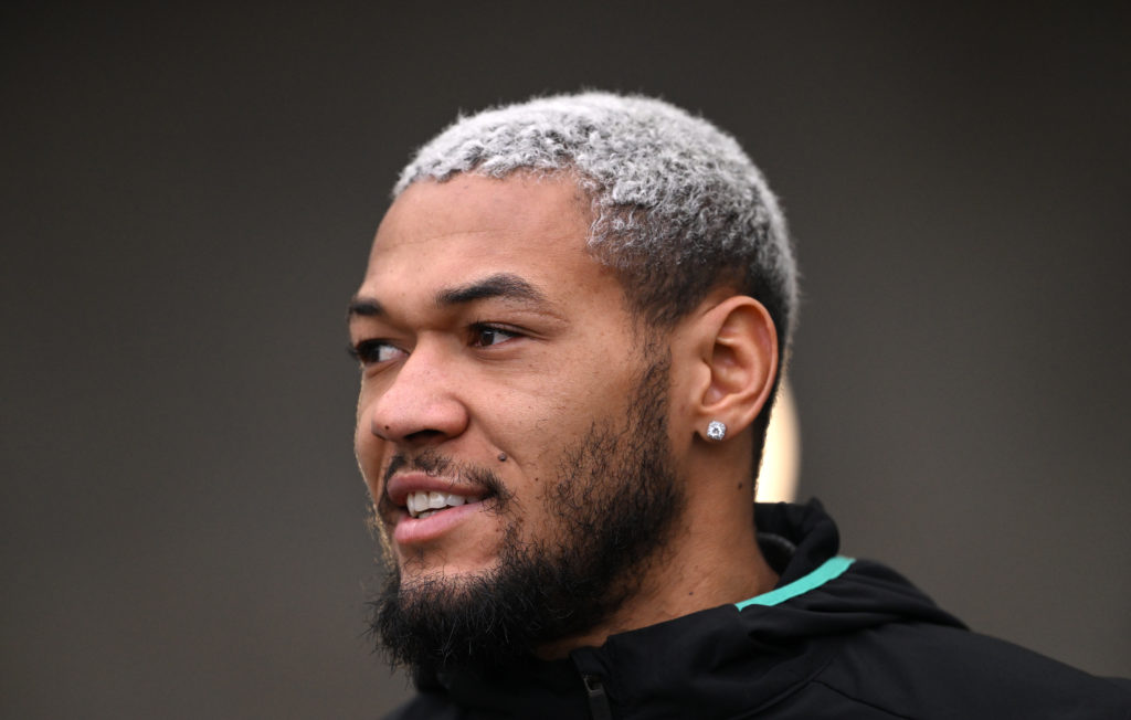 Newcastle United v Fulham FC - Premier League
