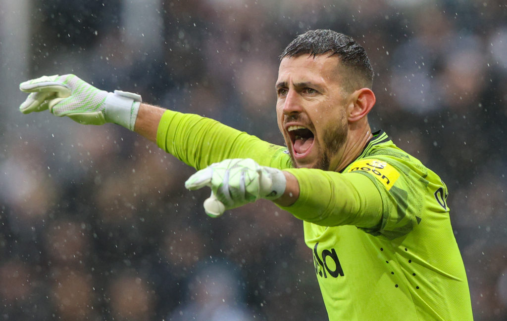 Newcastle United v Wolverhampton Wanderers - Premier League
