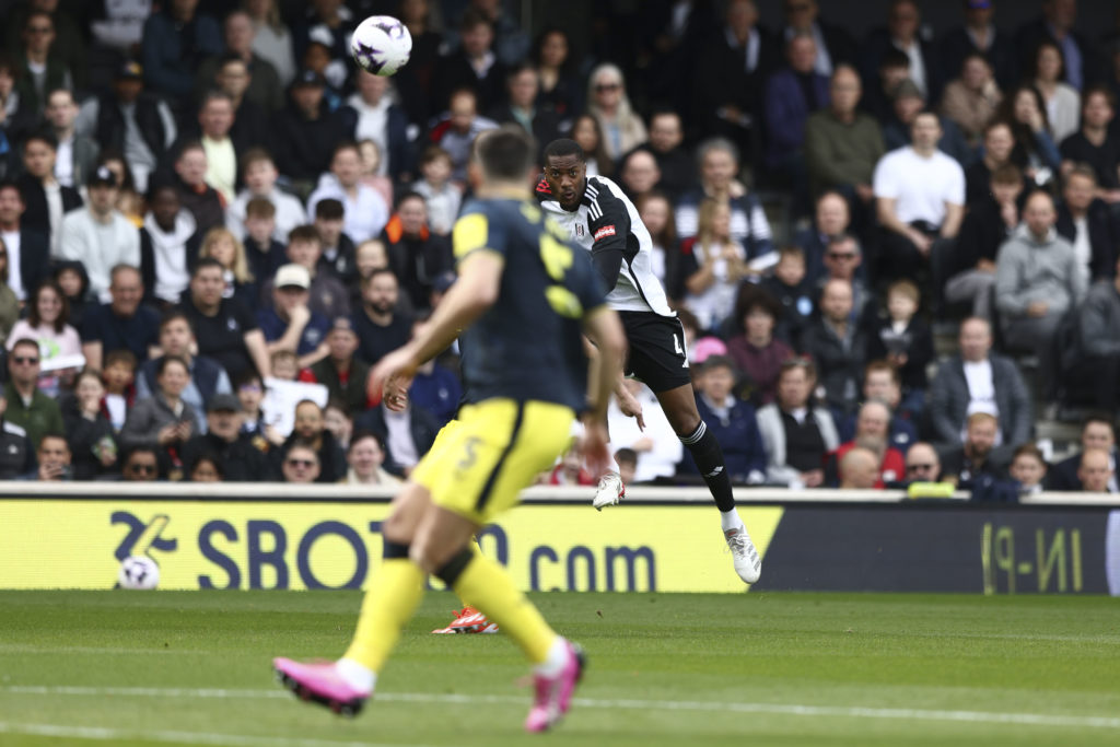 Fulham FC v Newcastle United - Premier League