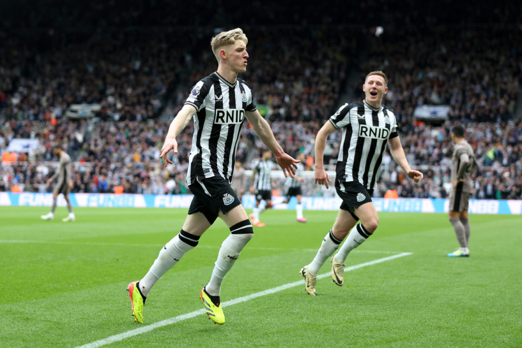 Newcastle United v Tottenham Hotspur - Premier League
