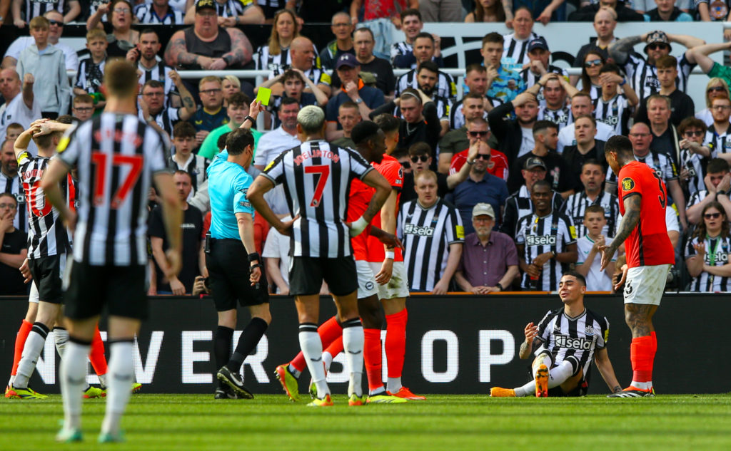 Newcastle United v Brighton & Hove Albion - Premier League