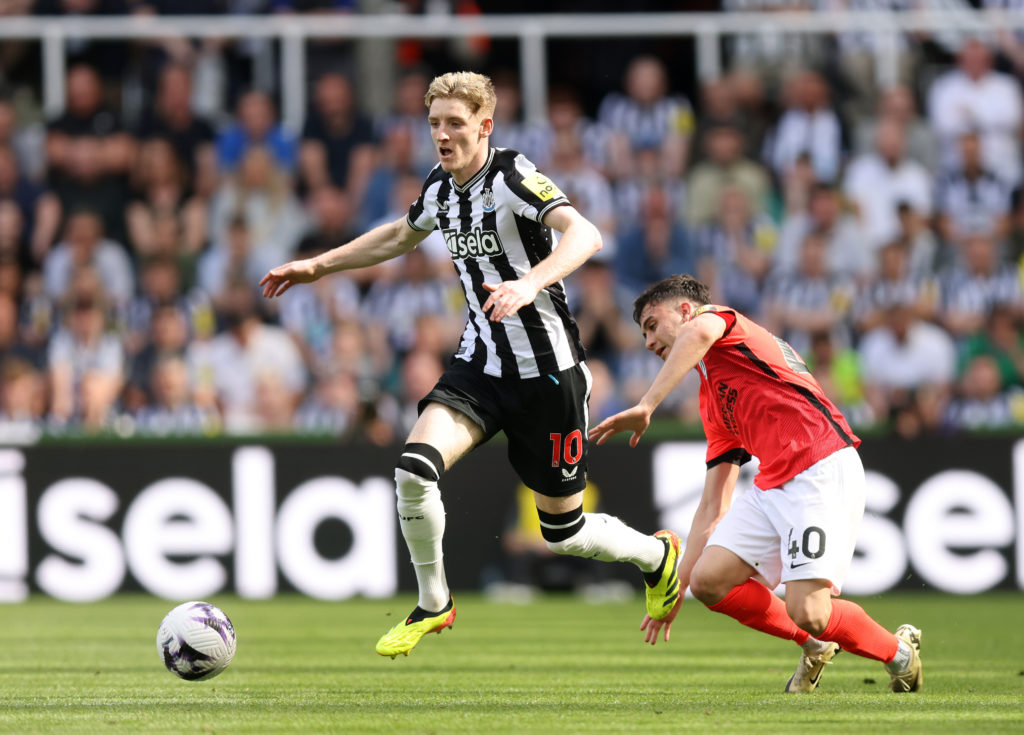 Newcastle United v Brighton & Hove Albion - Premier League