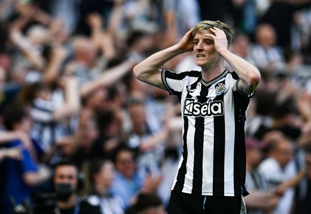 Newcastle United v Brighton & Hove Albion - Premier League