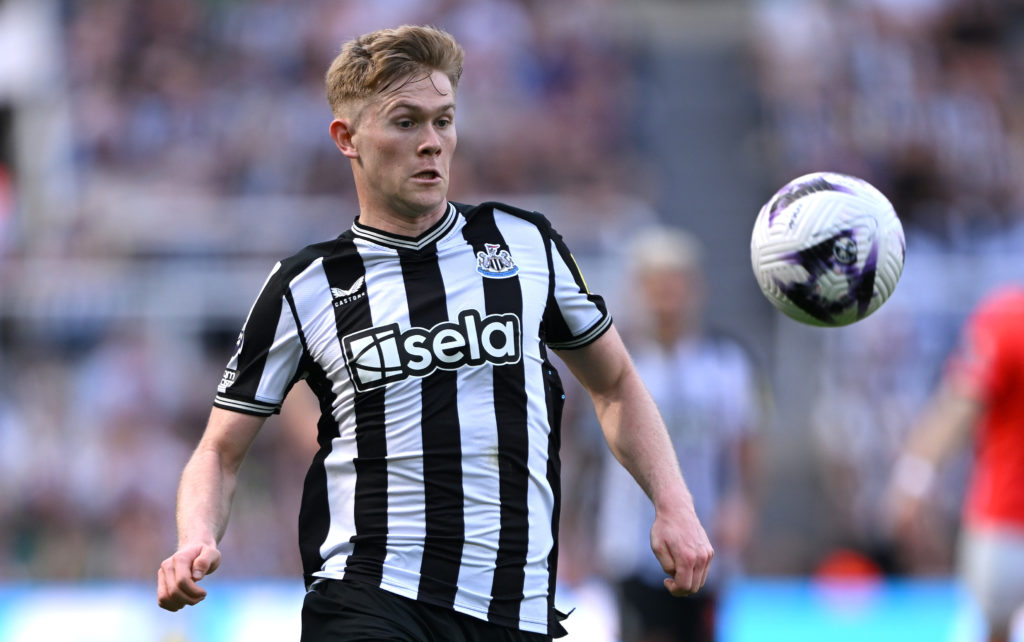 Newcastle United v Brighton & Hove Albion - Premier League