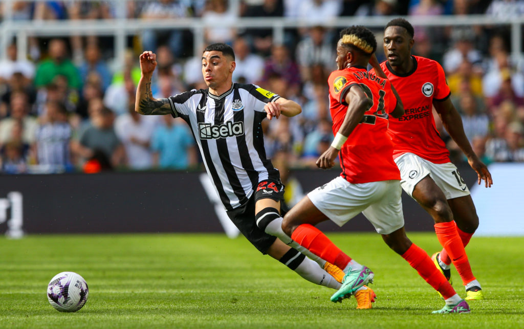 Newcastle United v Brighton & Hove Albion - Premier League