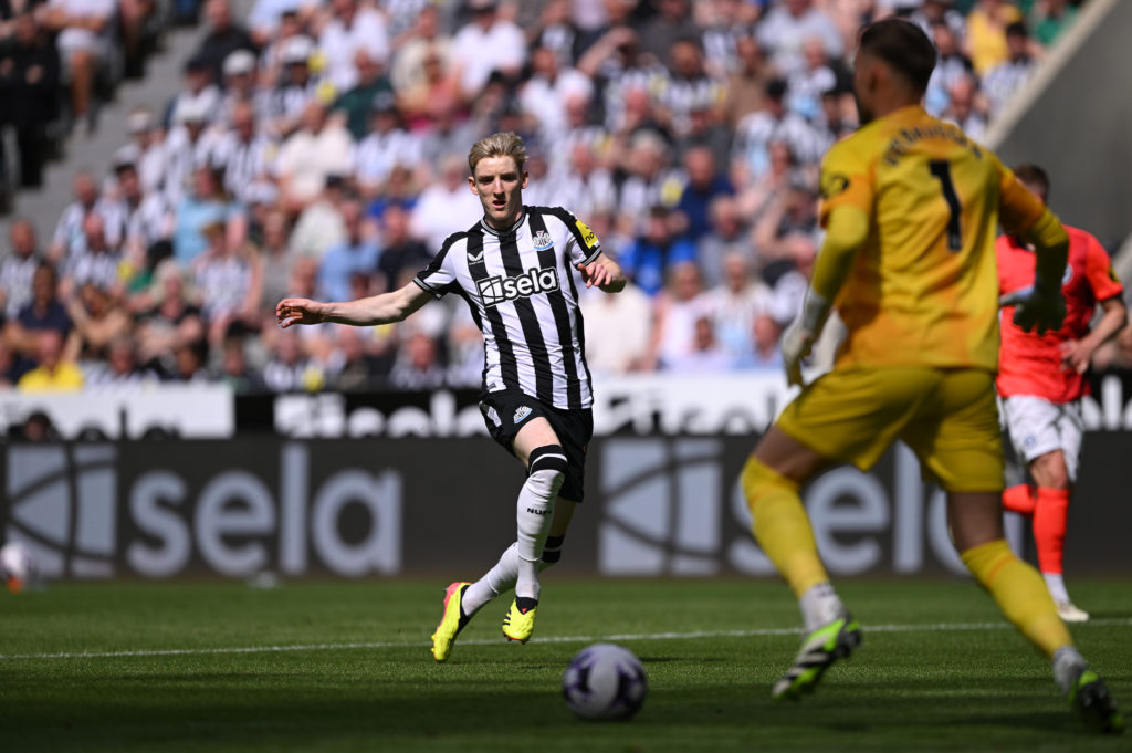 Newcastle United v Brighton & Hove Albion - Premier League