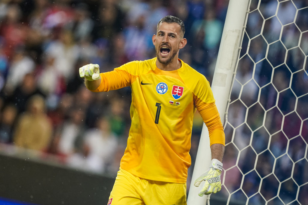 Slovakia v Wales - International Friendly