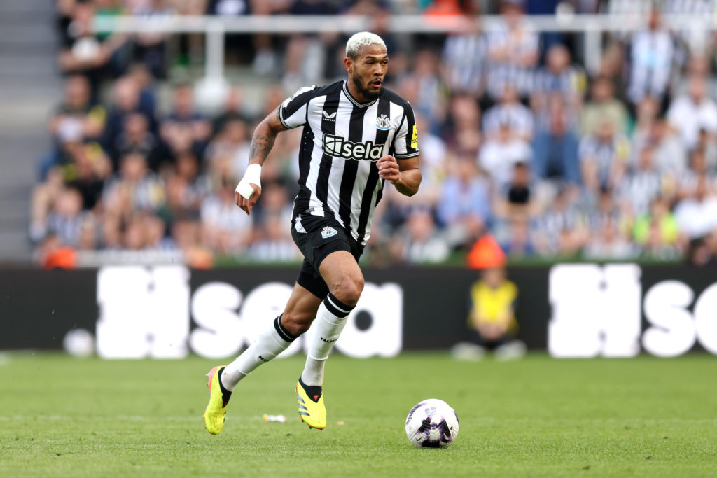 Newcastle United v Brighton & Hove Albion - Premier League