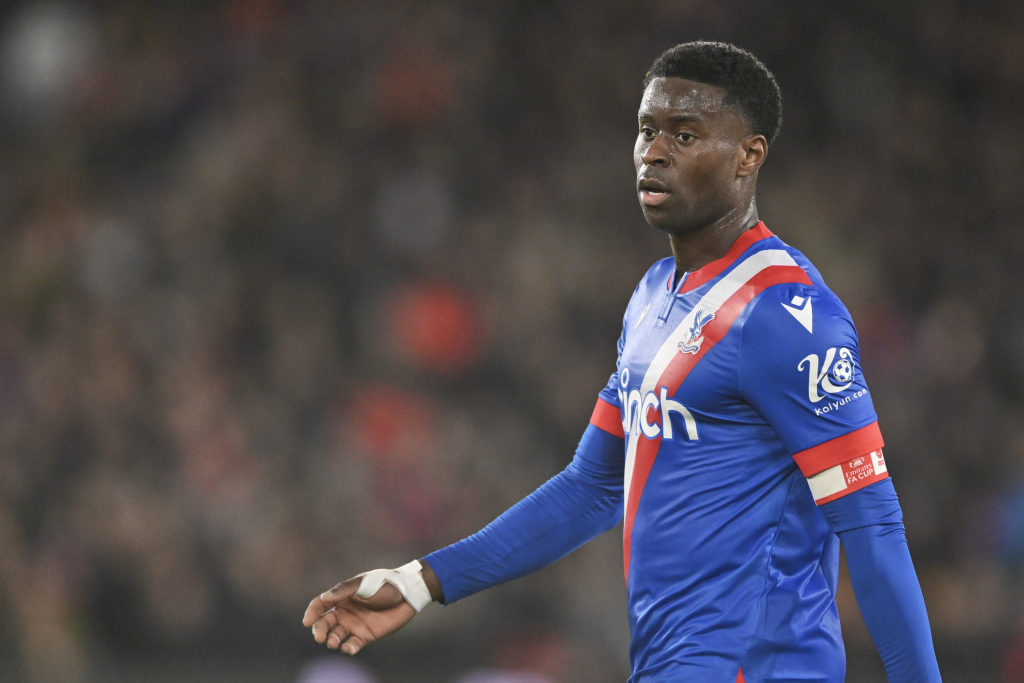 Crystal Palace v Everton - Emirates FA Cup Third Round
