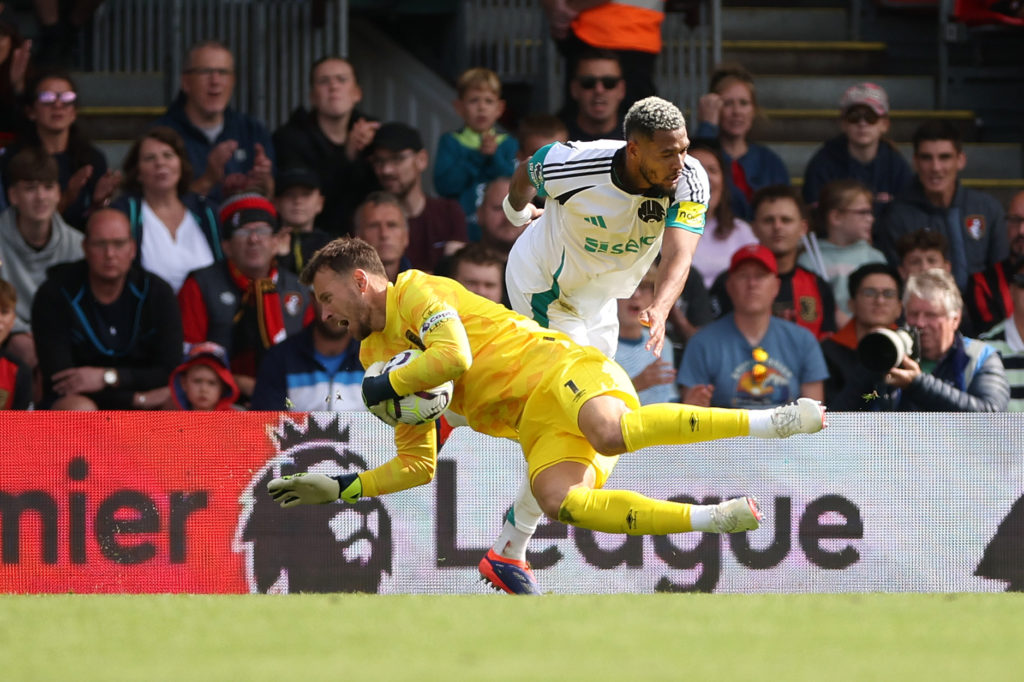 AFC Bournemouth v Newcastle United FC - Premier League
