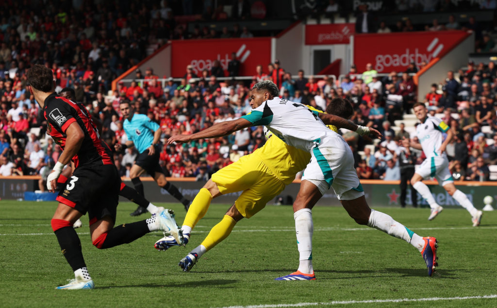 AFC Bournemouth v Newcastle United FC - Premier League