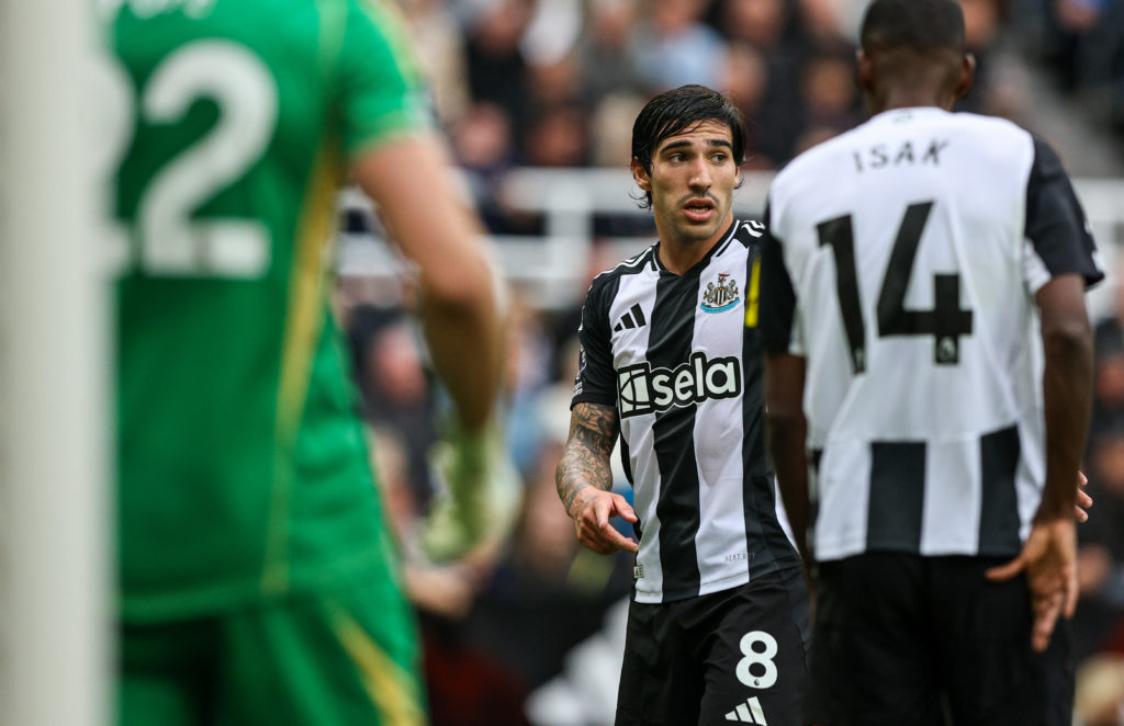 Newcastle United FC v Tottenham Hotspur FC - Premier League