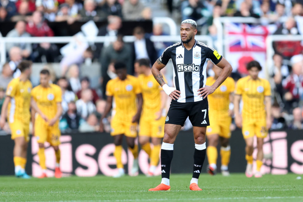 Newcastle United FC v Brighton & Hove Albion FC - Premier League