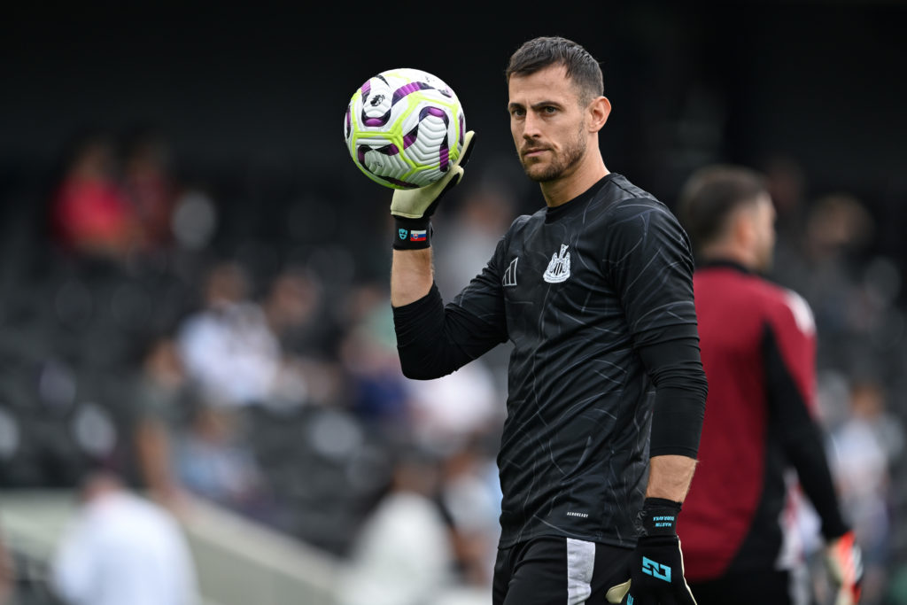 Fulham FC v Newcastle United FC - Premier League