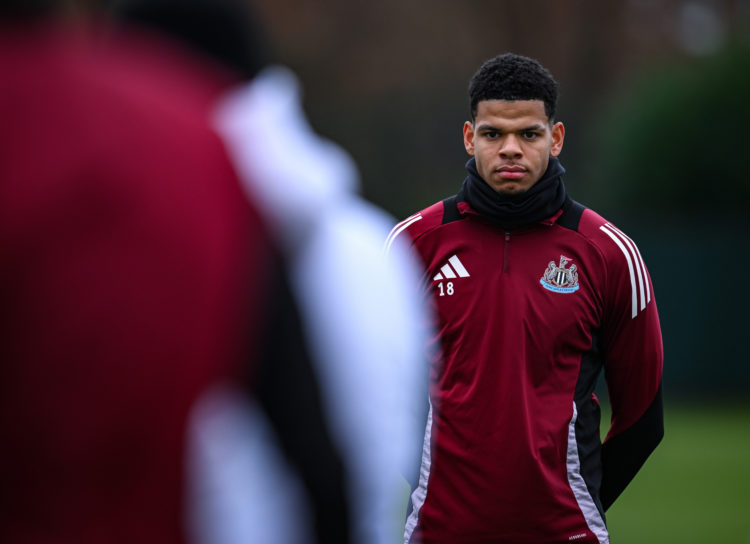 Photo by Serena Taylor/Newcastle United via Getty Images