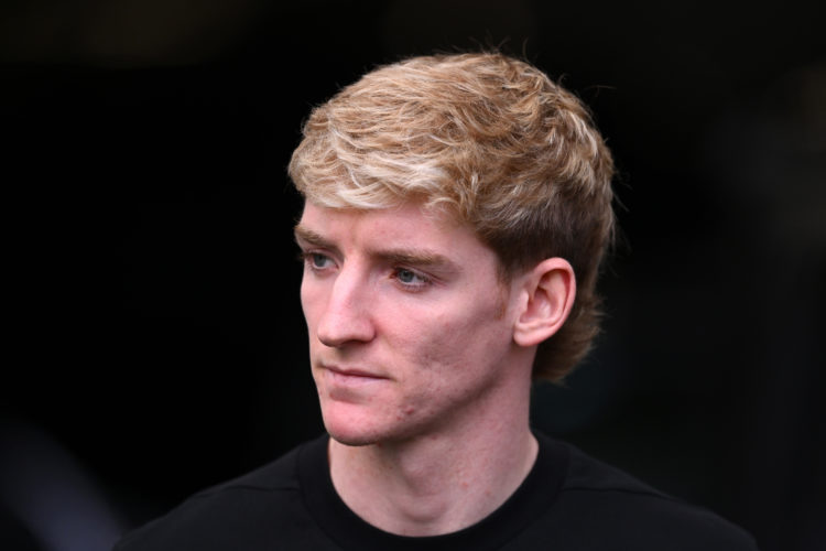 Photo by Stu Forster/Getty Images