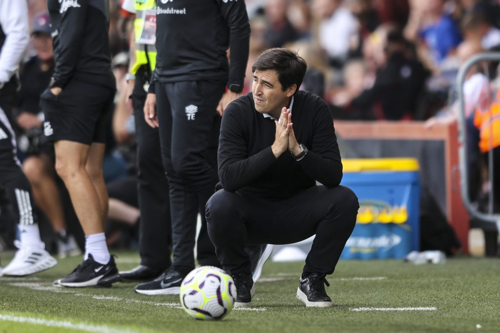 AFC Bournemouth v Newcastle United FC - Premier League