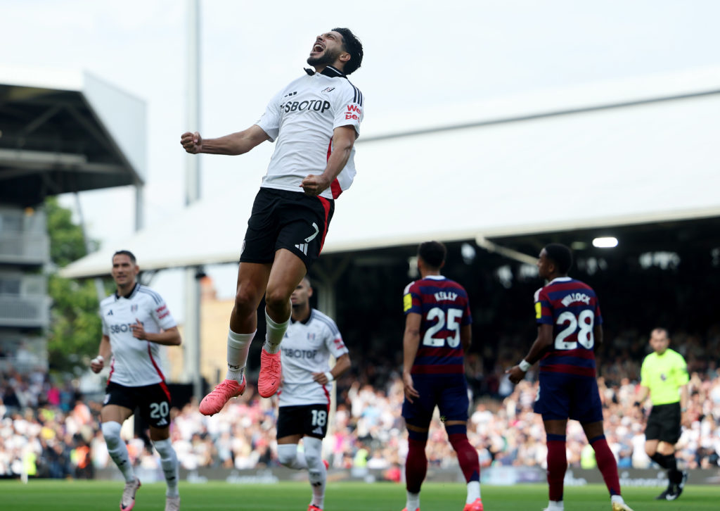 Fulham FC v Newcastle United FC - Premier League