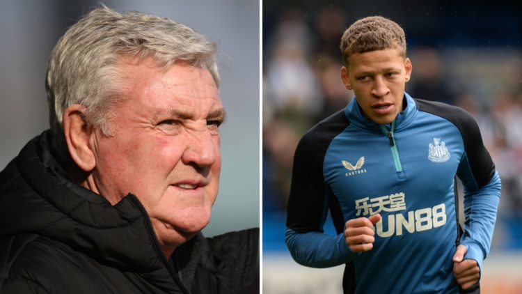 Split images of Steve Bruce, Manager of Blackpool, looks on during the Sky Bet League One match between Stockport County FC and Blackpool FC at Edg...