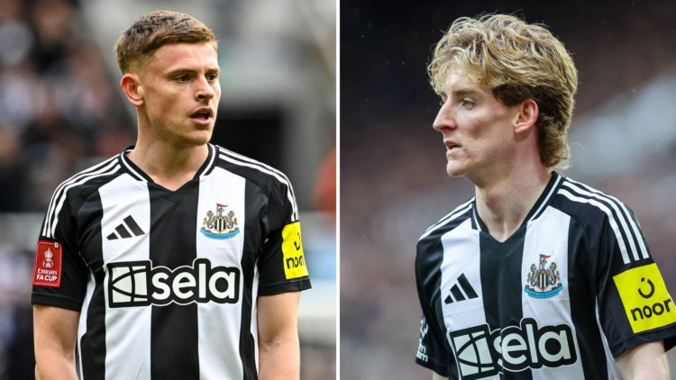Split image of Harvey Barnes of Newcastle United looks on during the Emirates FA Cup Fifth Round match between Newcastle United and Brighton and Ne...