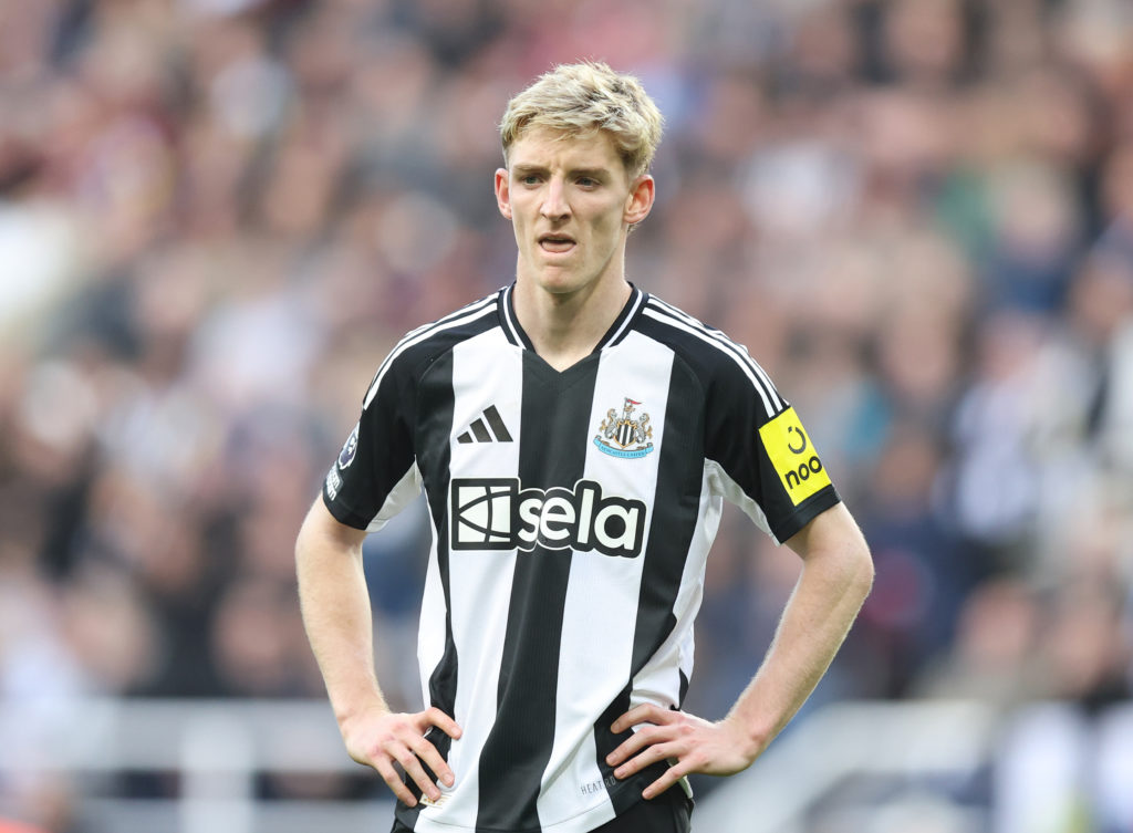 Newcastle United FC v Brighton & Hove Albion FC - Premier League