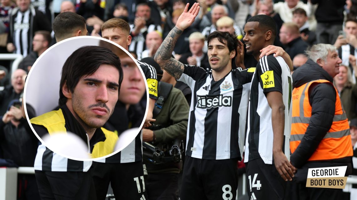 Sandro Tonali celebrates with Newcastle teammates, Sandro Tonali on the bench