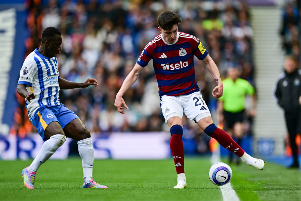 Brighton & Hove Albion FC v Newcastle United FC - Premier League