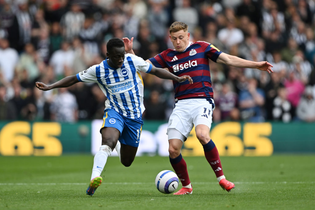 Brighton & Hove Albion FC v Newcastle United FC - Premier League