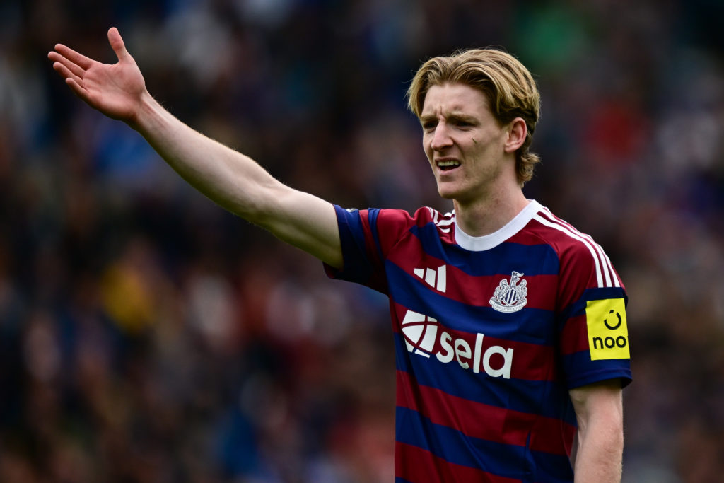 Brighton & Hove Albion FC v Newcastle United FC - Premier League
