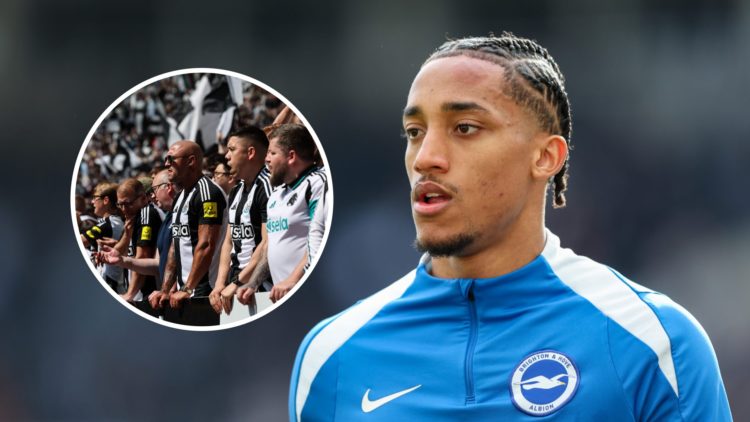 Joao Pedro lines up before playing for Brighton, Newcastle United fans watch on at St James' Park