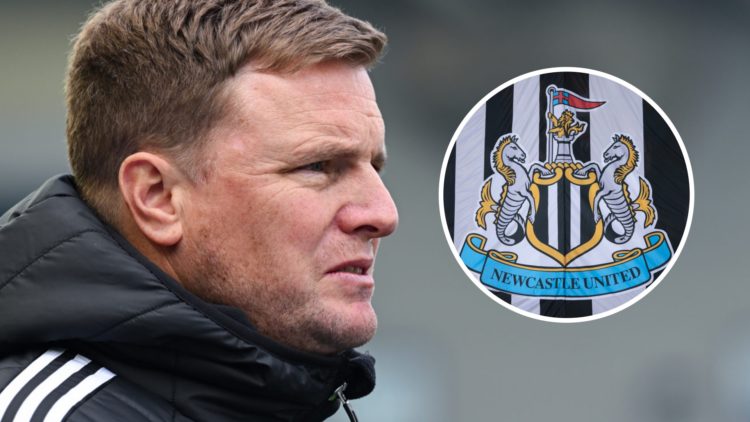 Eddie Howe manages Newcastle United against Brighton, Newcastle United badge on a flag