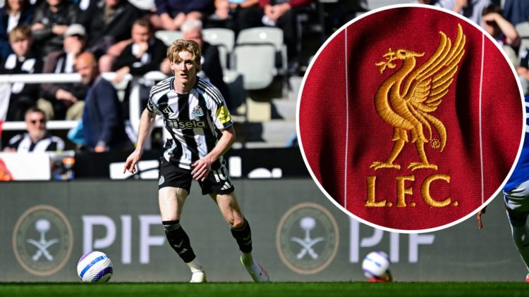 Anthony Gordon playing for Newcastle United against Everton. Inset, detailed view of the Liverpool FC club crest.