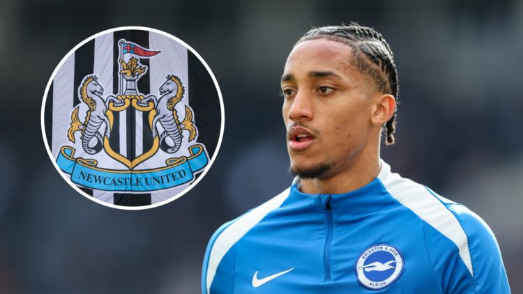 Inset, detailed view of the Newcastle United. Joao Pedro warming up before a match for Brighton.
