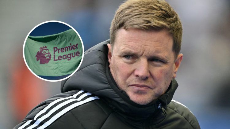 Newcastle United manager Eddie Howe looks on, Premier League logo on a green flag